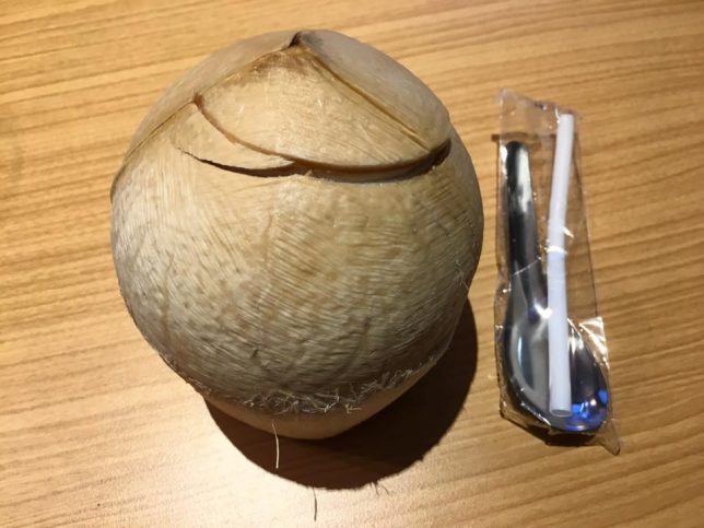 coconut3